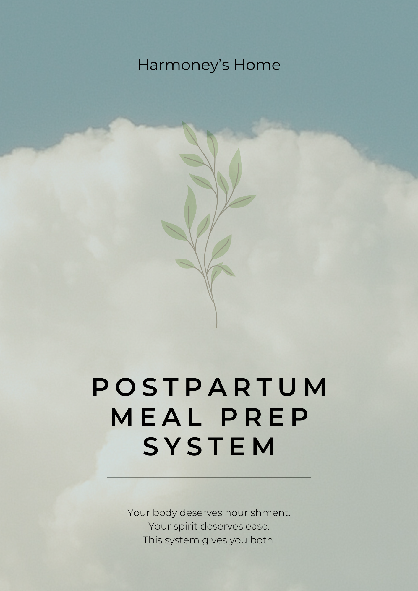 Postpartum Meal Prep System